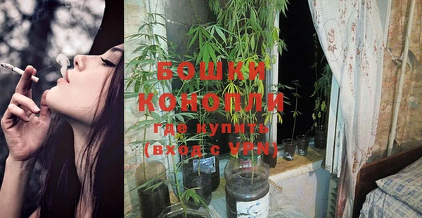 прущие грибы Баксан