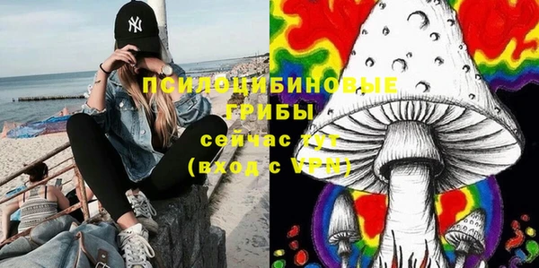 прущие грибы Баксан