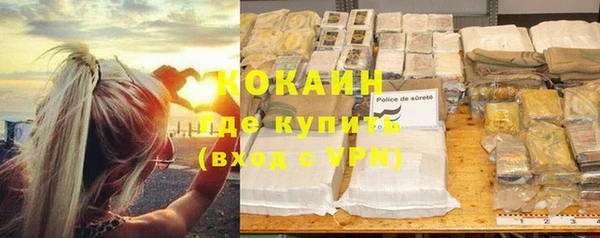 прущие грибы Баксан