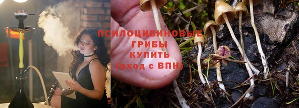 прущие грибы Баксан