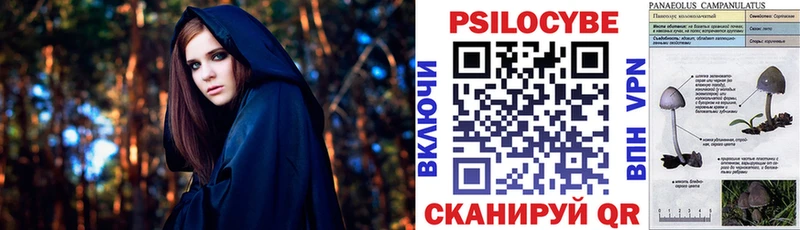 Псилоцибиновые грибы GOLDEN TEACHER  Похвистнево 